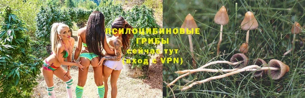 альфа пвп Краснослободск