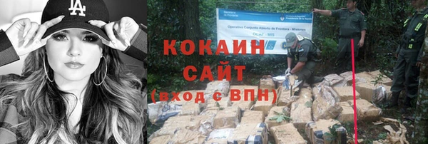 мдпв Корсаков