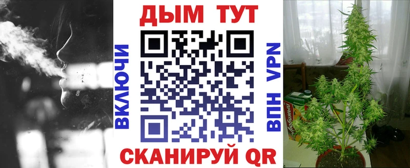 Шишки марихуана AK-47  как найти закладки  Снежногорск 